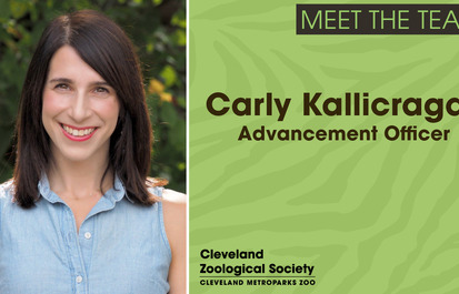 Meet the CZS Team: Carly Kallicragas, Advancement Officer