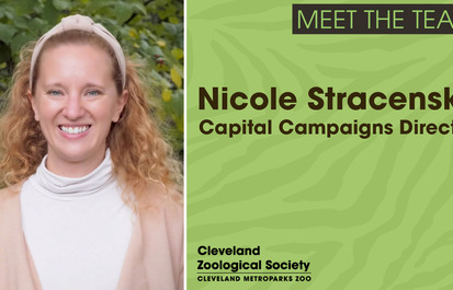 Meet the CZS Team: Nicole Stracensky, Capital Campaigns Director