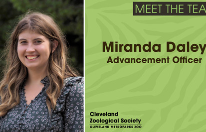 Meet the CZS Team: Miranda Daley, Advancement Officer