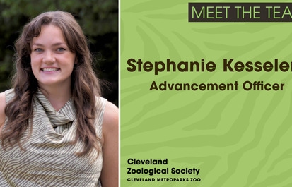 Meet the CZS Team: Stephanie Kesselem, Advancement Officer