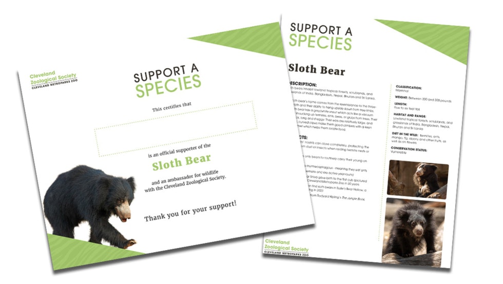 Support a Species certificate and fact sheet