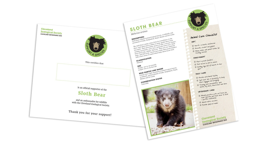 Slothbearsample20251